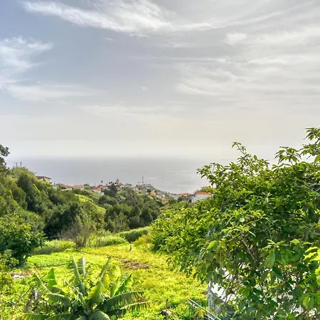 Cantinho Da Mikaela, A In Madeira