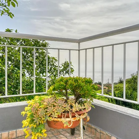 Cantinho Da Mikaela, A In Madeira * פונטה דו סול