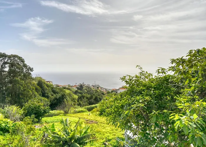 Cantinho Da Mikaela, A In Madeira